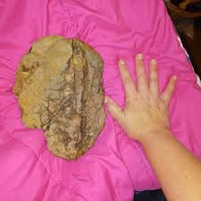 Mysterious Artifact Found in Creek Behind House