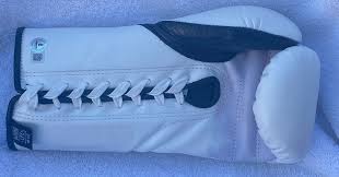 SAUL CANELO ALVAREZ SIGNED AUTO'D NO BOXING NO LIFE GLOVE ...