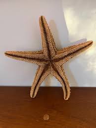 Sea Star / Starfish - Multicolored Dyed Vintage Very Large ...