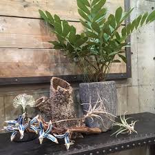 旅する たね | TRANSHIP