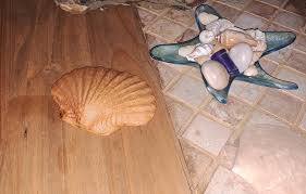 Wood Sea Shell - Etsy