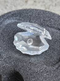 SWAROVSKI Silver Crystal Clam Shell with Diamond Inside ...