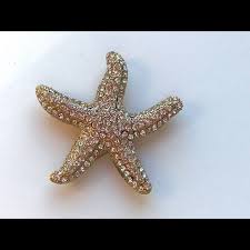 Jewelry | Rhinestone Starfish Brooch Pendant Combination ...