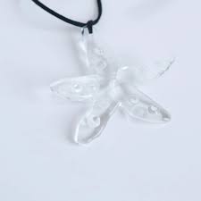 Starfish – Vold international