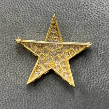 Diamond Star Brooch For Sale at 1stDibs
