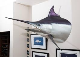 Sold at Auction: A black marlin head - a fibreglass mould of ...