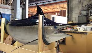 Black Marlin Fish Replica, mounted black marlin