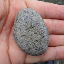 February-March 2022 Fossicking Trip: Stone of the Day #2 ...