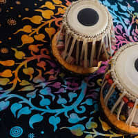 SWARAMANDAL PROFESSIONAL | Reverb