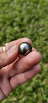 16MM AAA+ Black Tahitian Pearl: Genuine Saltwater Pearl ...