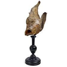 Naturalized Stonefish on Foot - Taxidermy - Curiosity of the ...