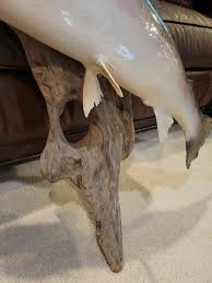 31" Reproduction Salmon LAKE TROUT Taxidermy Mounted Fish DRIFTWOOD DISPLAY | eBay