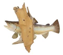 Sold at Auction: BROWN TROUT FISH TAXIDERMY MOUNT ON DRIFTWOOD