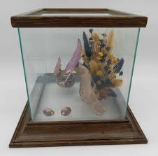 2 Taxidermy Blue Morpho Butterflies in Glass Display Box ...