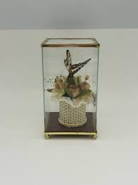 Creco California Preserved Butterfly Taxidermy in Glass and ...