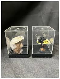 Two Vintage Miniature Doll Hats In Cases. For Sale at Ruby Lane