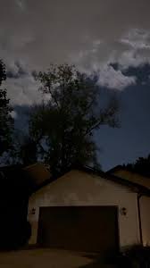 What bird makes this sound at night?