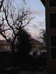 i made a toy camera effect for my film camera app, how's it ...