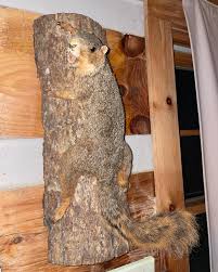 Mads🐙 (@madsmassoth) • Instagram photos and videos