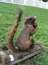 Jimmy Rose Heather Morgan (sweetbabygirl40) - Profile | Pinterest