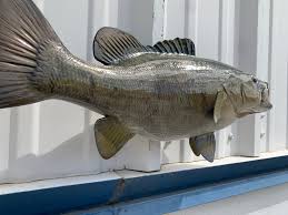 16 Inch Smallmouth Bass Fish Mount Replica Reproduction For Sale