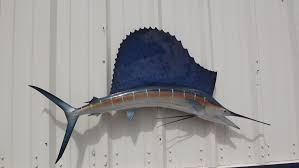52 Inch Sailfish Fish Mount Replica Reproduction For Sale