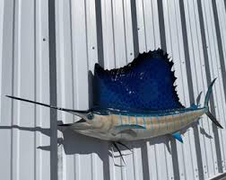 Sailfish Fish Mount - 71 Inches - Half Sided Fish Replica - Etsy