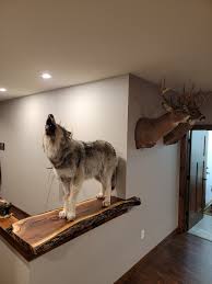 Deer Mounts of America | Facebook