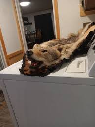 General For Sale For Sale By Owner near Beavertown, PA - craigslist