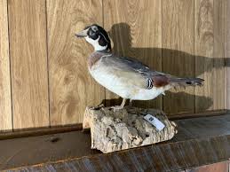 Burns Auction & Appraisal LLC Auction Catalog - Total Estate w/Pristine 1976 Pontiac Grand Prix. Online Auctions | Proxibid