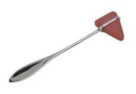 Reflex Hammer — Nature's Workshop Plus