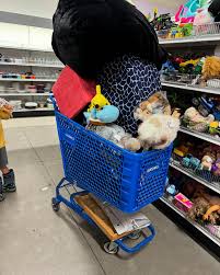 GOODWILL, BELGRADE π 6161 Jackrabbit Lane, Belgrade ...