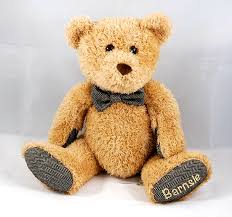 Barnsie Barnes Noble teddy bear plush stuffed animal brown 12 inch | eBay.de