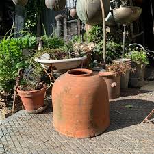 Antique Large Terracotta Rhubarb Forcer - COLLECTION ONLY From London - Etsy
