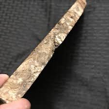 Large Beautiful Petrified￼ Wood Polished Slab w/Bark 10 X 7 Inch 3/4 Inch Thick | eBay