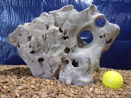Texas/Tennessee Holey Rock, Aquarium, Fish Decorations, Honeycomb Limestone | eBay