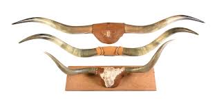 Lot - A GROUP OF THREE TEXAS LONGHORN MOUNTS, MID/LATE 20TH CENTURY,
