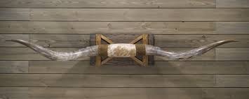 6' 9" Longhorn Wall Mount #213 – Oxbow Builds