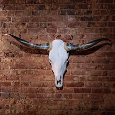 Wide-Horn Longhorn Skull Wall Mount | Rustic Western Wall ...