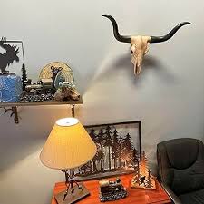Amazon.com: Long Horn Cow Skull Wall Hanging Longhorn Steer ...