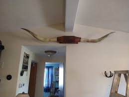 Wild Willow's Webs N Weeds