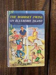 Vintage Bobbsey Twins Book: Collectible Hardcover Adventure ...