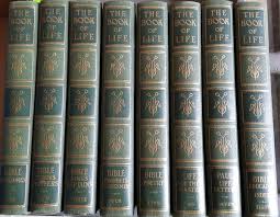 The Book Of Life (9 Volume Set) Bible Treasures, Bible ...