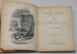 RURAL SCENES; Or, A Peep Into the Country. For Children.