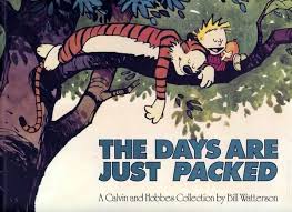 Comic books in 'Calvin and Hobbes Collection'