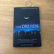 A Brief History of the Druids (The Brief History) by Peter ...