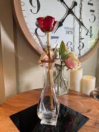 Preserved Hand Dipped Red Rose on Stem, Forever Rose, With ...