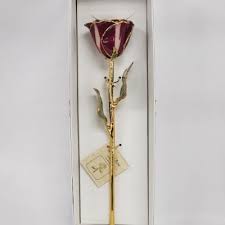 Preserved Maroon/Ivory 24KT Gold Rose in Davis, CA ...