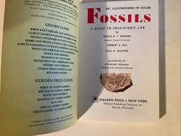 Prehistoric Fossils Book Vintage Golden Guide Ephemera 1962 ...