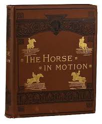 The Horse in Motion ~ Eadweard Muybridge ~ First Edition ...